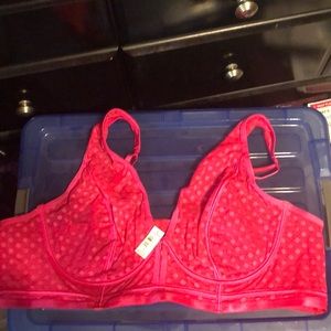 Torrid Betty Johnson bra